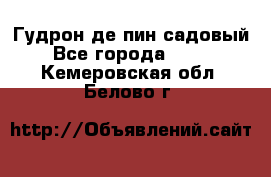 Гудрон де пин садовый - Все города  »    . Кемеровская обл.,Белово г.